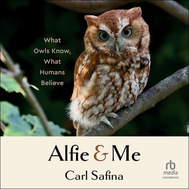 Alfie and Me: What Owls Know, What Humans Believe - Carl Safina