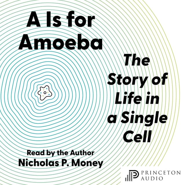 A Is for Amoeba: The Story of Life in a Single Cell - Nicholas P. Money