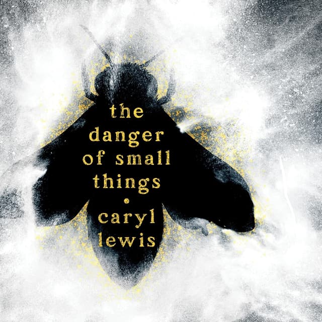 The Danger of Small Things - Caryl Lewis