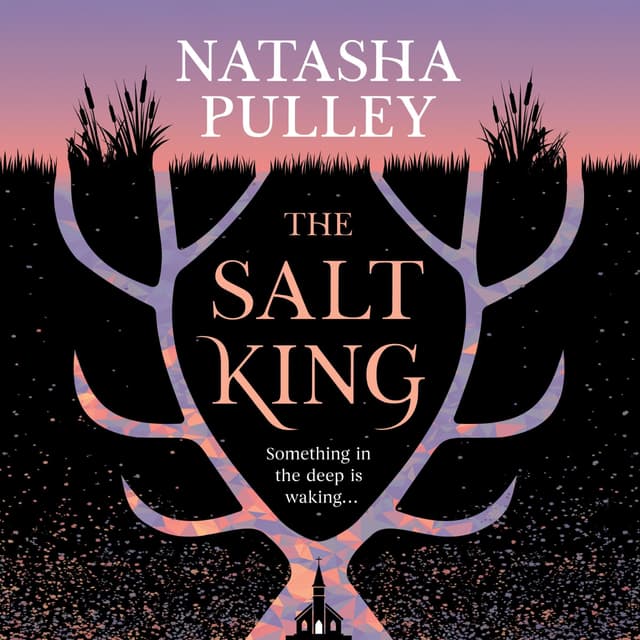 The Salt King - Natasha Pulley